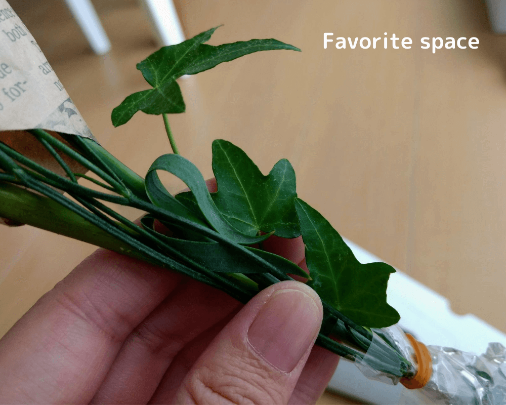 ブルーミーライフから届いた季節の葉っぱの茎に、張りがあって元気な様子を写した画像